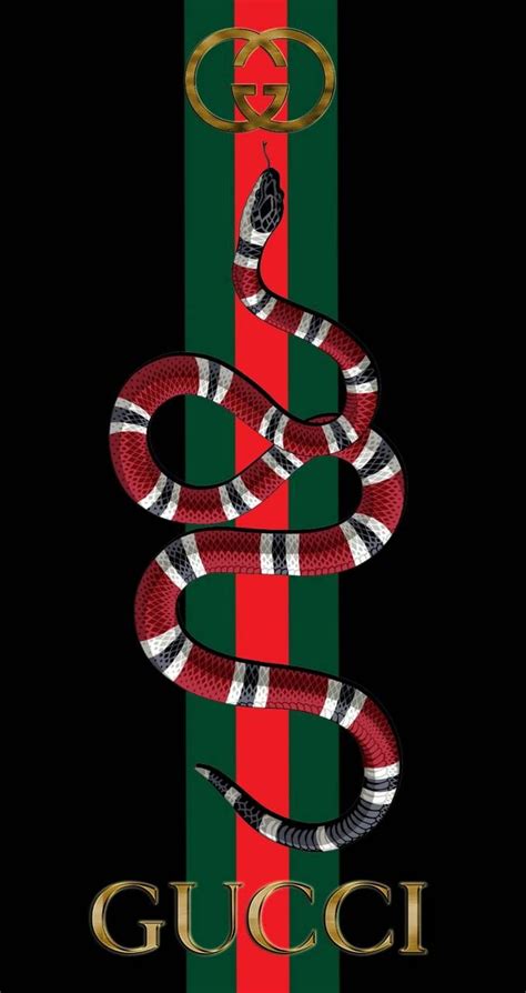 gucci snake|Gucci snake drawing.